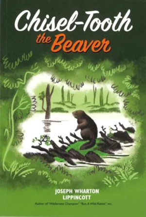 Chisel Tooth the Beaver