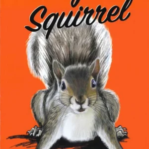 Gray Squirrel
