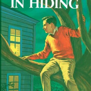 Hardy Boys 16: a Figure in Hiding