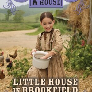 Little House in Brookfield