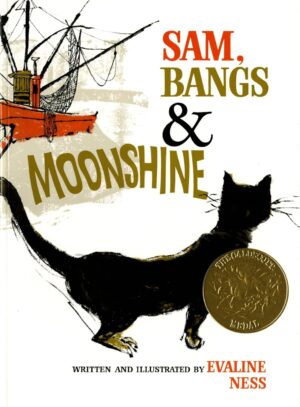 Sam Bangs and Moonshine