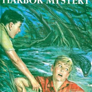 Hardy Boys 14 - The Hidden Harbor Mystery