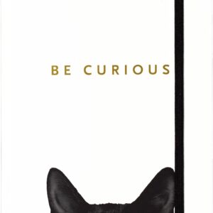 Curious Cat Journal