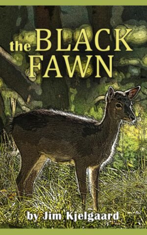 The Black Fawn CHP