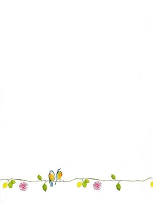 Watercolor Birds Stationery