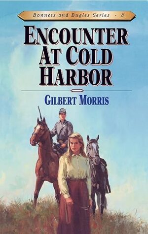 Encounter at Cold Harbor