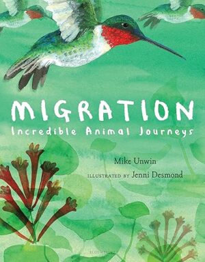 Migration Incredible Animal Journeys
