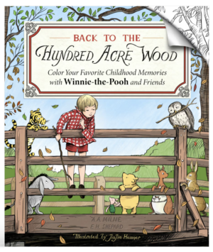 Winnie the Pooh Colouring Book