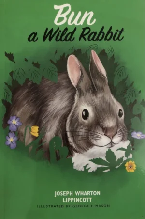 Bun a Wild Rabbit