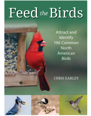 Feed the Birds