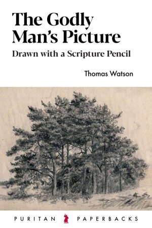 The Godly Man's Picture