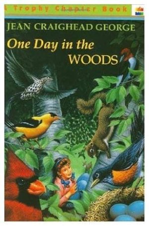 One Day in the Woods
