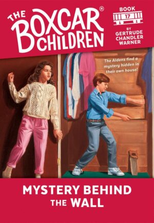 #17- Mystery Behind the Wall
