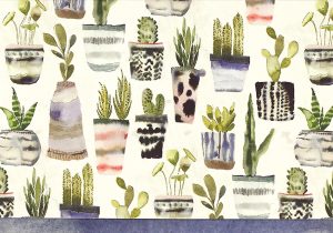 Watercolor Succulent Note Cards