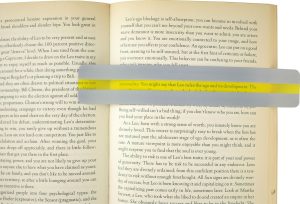 Highlighter Reading Guides
