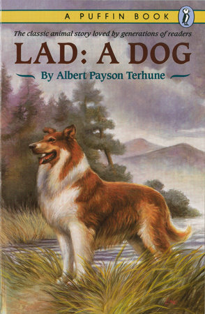 Lad, A Dog
