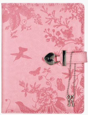 Artisan Hummingbird Locking Journal